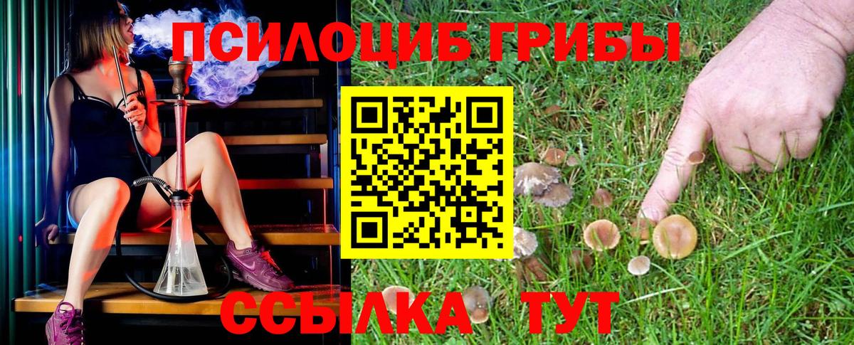 Псилоцибиновые грибы GOLDEN TEACHER  Вход с VPN  Псилоцибиновые грибы MAGIC MUSHROOMS  Красный Сулин 