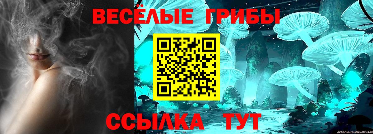 Псилоцибиновые грибы Cubensis Красный Сулин